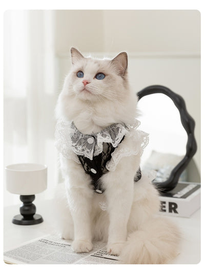 Chaleco de Encaje con Tracción para Gatos y Cachorros - Ropa Ligera para Mascotas - Image 9
