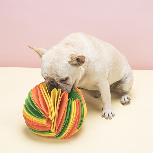 Colorful felt cloth snuffle ball for pets, featuring folded fabric strips in red, orange, yellow, green, blue, and purple.