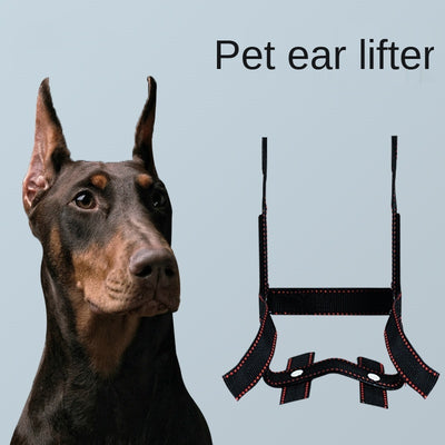Corrector de Orejas para Perros - Dispositivo de Fijación Estético