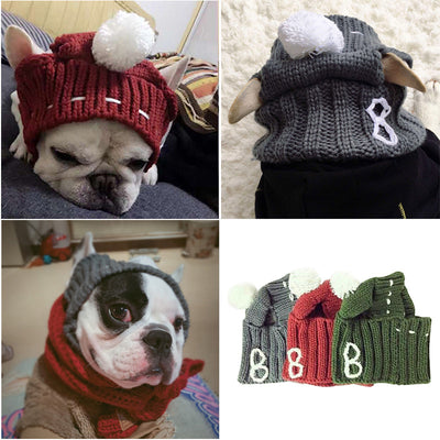 Gorro Divertido para Bulldog Francés y Pug - Image 14