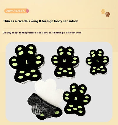 Protectores de Patas Invisibles Respirable para Perros - Almohadillas Adhesivas - Image 9