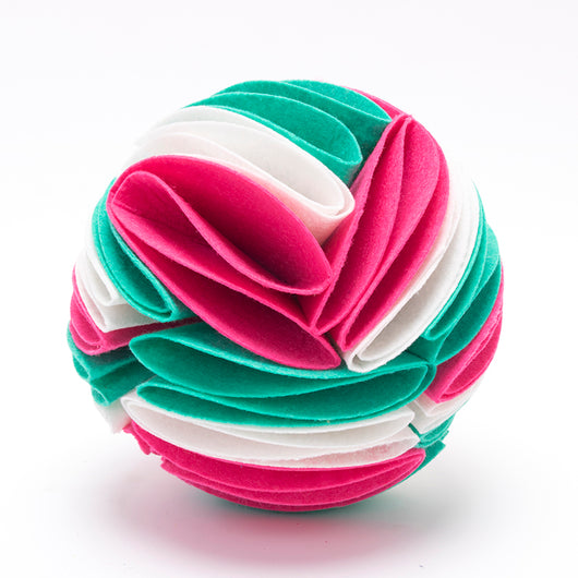 Pelota Olfativa Plegable para Perros - Juguete Inteligente de Entrenamiento - Image 22