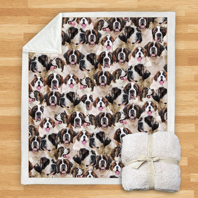 Manta de Franela Estampada para Perros de Diseño Moderno - Image 28