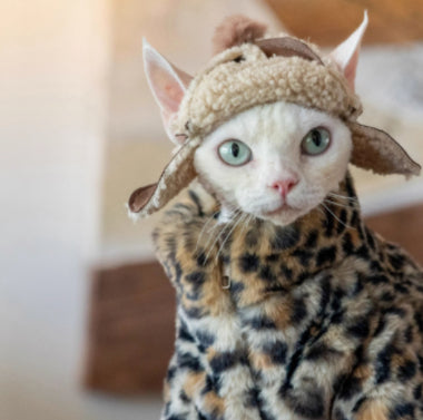 Ropa Térmica para Gatos sin Pelo - Abrigo Corto de Felpa Leopardo - Image 3