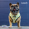 Leash S