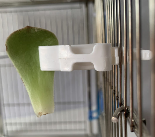 Comedero Cesta de Frutas para Loros y Aves - Image 12