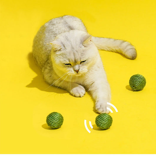 Juguetes Interactivos para Gatos - Pelotas de Sisal y Bastón Teaser - Image 4
