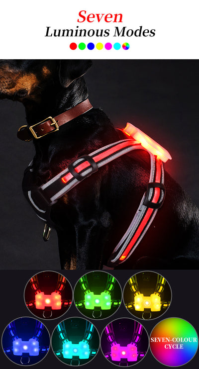 Chaleco LED Reflectante para Pasear Perros de Noche - Image 10