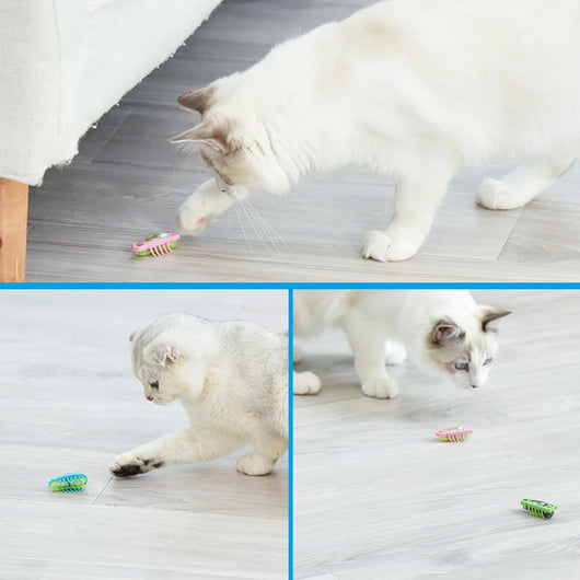 Juguete Interactivo Eléctrico Mariquita - Mascota Robot para Gatos y Perros - Image 6