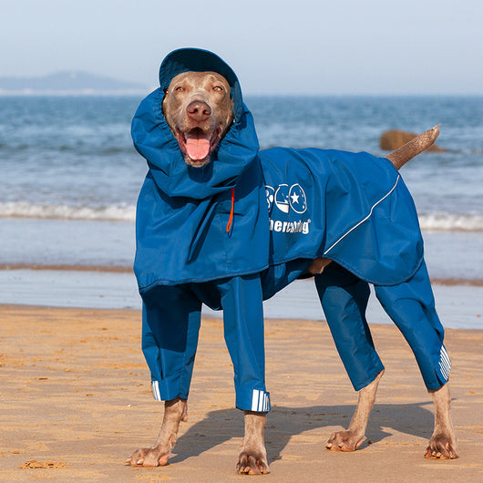 Poncho Impermeable Ajustable para Perros Medianos y Grandes con Capucha - Image 3