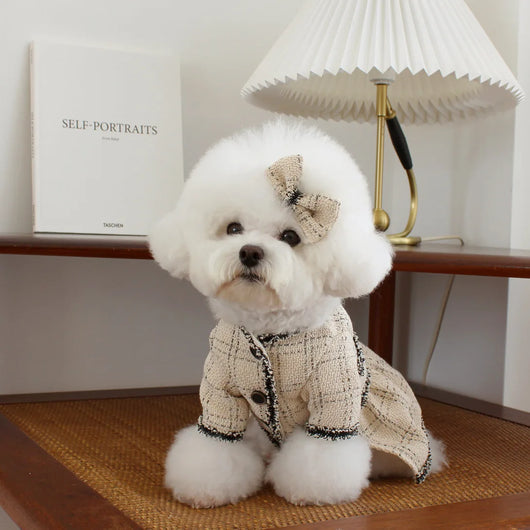 Vestido Princesa para Mascotas - Ropa Elegante para Perros y Gatos - Image 12