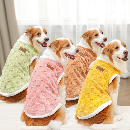 Ropa de Algodón para Mascotas - Colección Otoño Invierno - Image 10