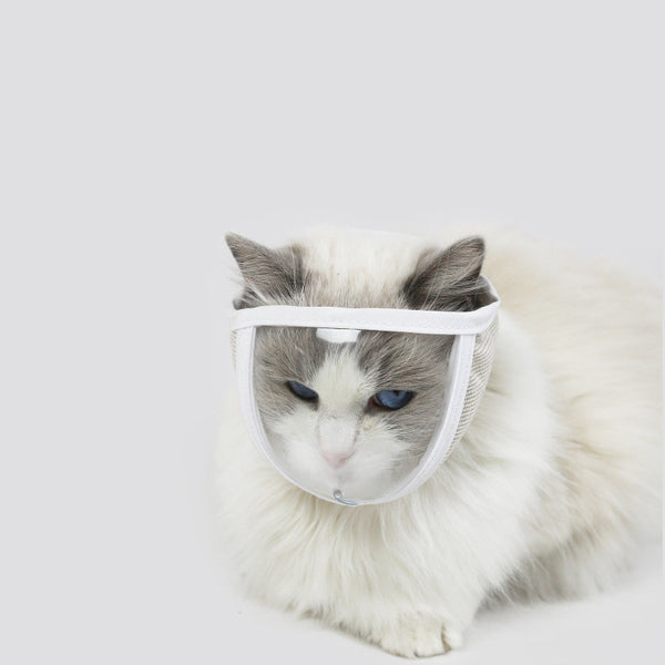 Máscara Protectora Transparente Gato Antipolvo Antimordida