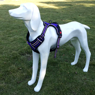 Arnés de Tracción para Pecho de Perro con Correa - Image 14