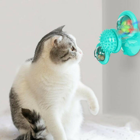 Gray tabby cat playing with a teal windmill cat toy featuring a suction cup base, textured ball, and colorful spinning paddles. - Image 2