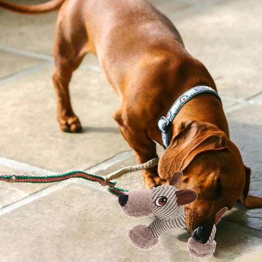 Juguete Interactivo para Perros Grandes - Peluche Chirriante Resistente - Image 9
