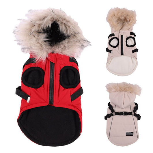 Traje Elegante para Perro con Chaleco y Gorro de Pelaje - Image 8