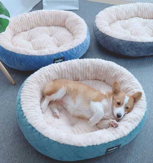 Cama Térmica Acogedora para Perros Medianos y Grandes
