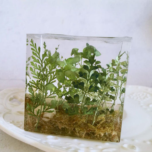 Cubo de Plantas Secas con Flores Deshidratadas y Musgo Natural