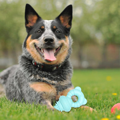 Juguete Masticable de Goma para Limpiar Dientes - Mordedor Resistente para Perros Grandes - Image 21