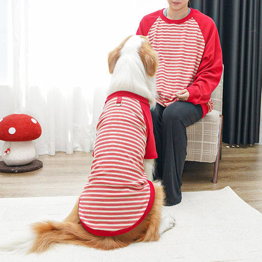 Camiseta Rayada para Perros Grandes - Ropa Cómoda y Protectora - Image 18