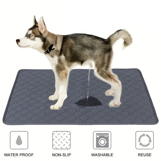Pañales Lavables para Perros - Almohadillas Reutilizables Impermeables - Image 22