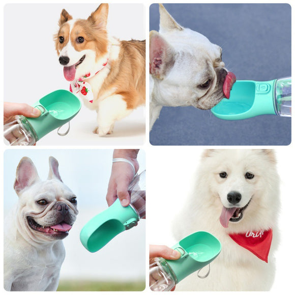 Dispensador Portátil de Agua para Mascotas - Botella Hidratante para Perros