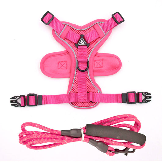 Arnés de Cuerda para Perros Estilo Chaleco - Image 12