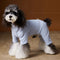 Playera Térmica para Perros Schnauzer y Bichón - Cómoda y Abrigadora