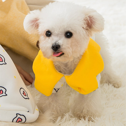 Ropa Princesa para Perros y Gatos - Disfraz Teddy Adorable - Image 12