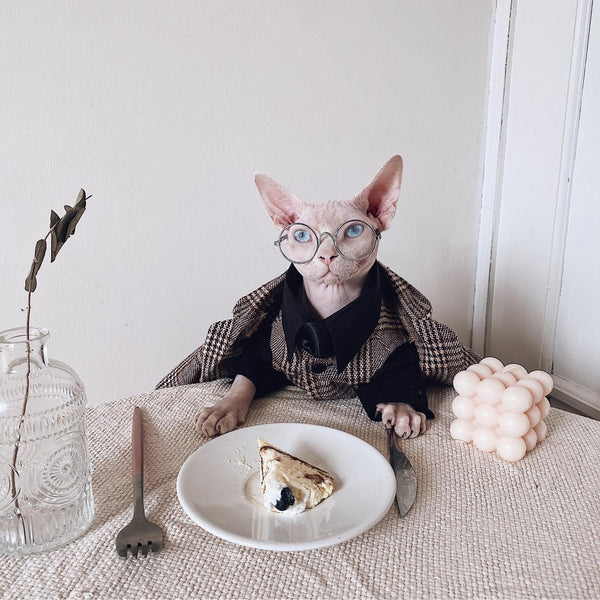 Traje Elegante para Gatos Sphynx y Razas sin Pelo
