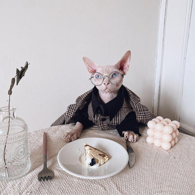 Traje Elegante para Gatos Sphynx y Razas sin Pelo - Image 2