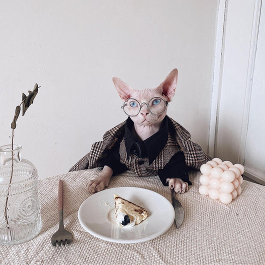 Traje Elegante para Gatos Sphynx y Razas sin Pelo - Image 2