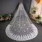 Tocado Nupcial de Encaje con Velo Trailing para Novia
