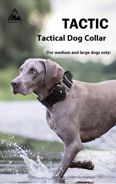 Collar Táctico Antiexplosión para Perros - Image 22