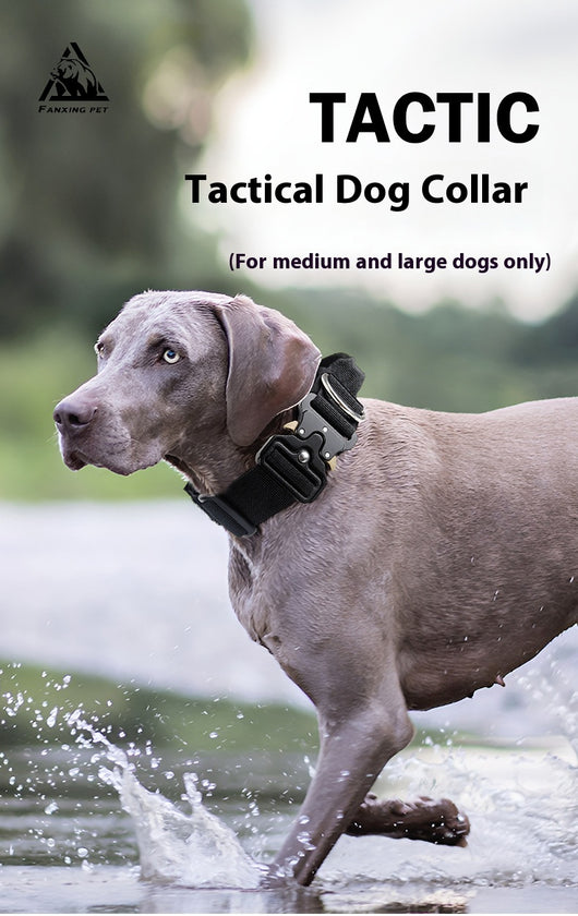 Collar Táctico Antiexplosión para Perros - Image 22