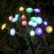 6 Luces Color
