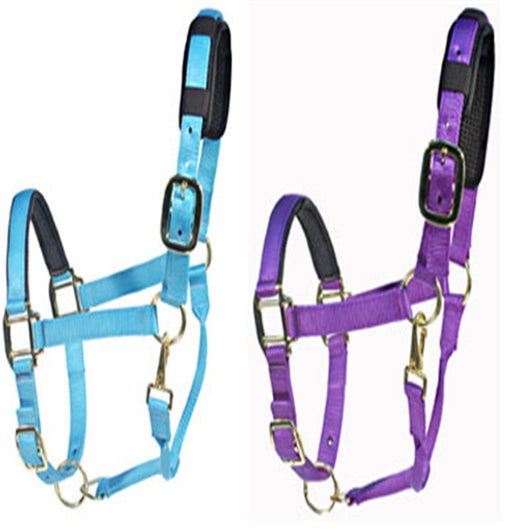 Cabezada Ecuestre Personalizable - Equipo Premium para Caballos - Image 10