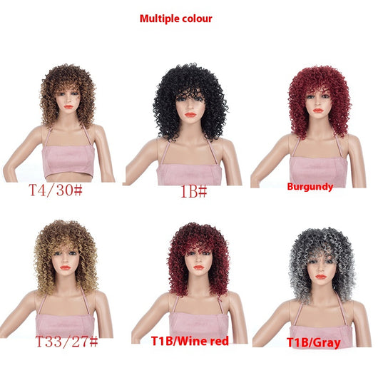 Peluca Afro Multicolor con Rizos Pequeños - Image 14