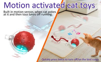 Red interactive cat toy ball with a clear outer shell, glowing blue light, and a red rope, shown with a kitten. - Image 10