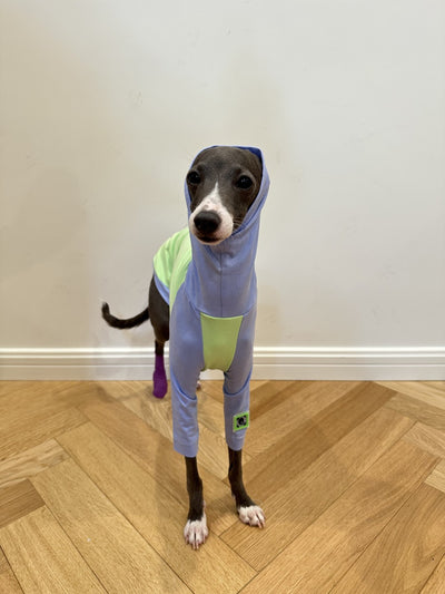 Chaleco de Algodón con Combinación de Colores para Perro Terrier Linton - Image 10