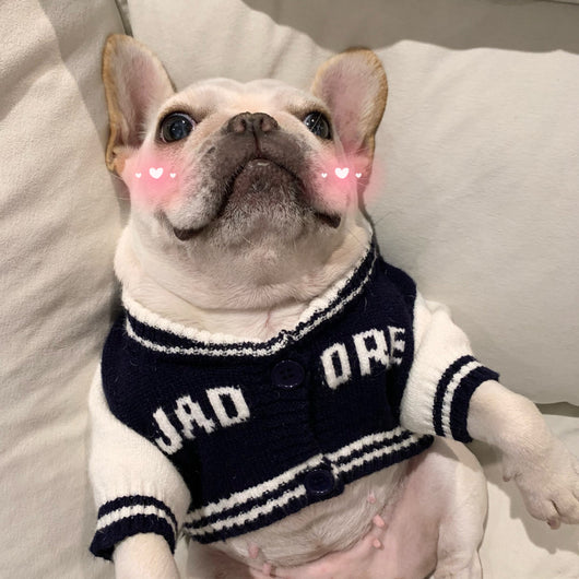 Suéter Arcoíris para Mascotas - Diseño Divertido para Gatos y Perros - Image 11