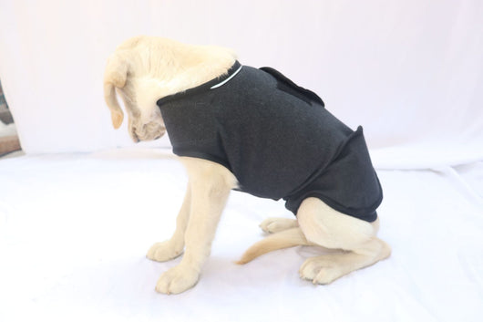 Chaleco Calmante para Perros - Prenda de Compresión contra la Ansiedad - Image 11