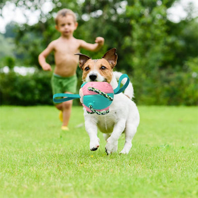 Red and green interactive dog football soccer ball with rope and fabric tabs for training and outdoor play. - Image 31