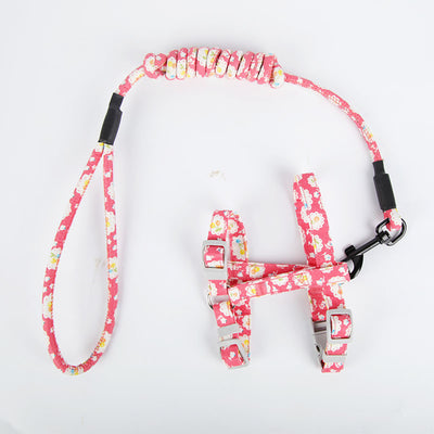 Arnés de Paseo para Gatos con Correa Pectoral - Image 2