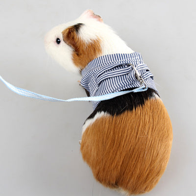 Arnés de Pecho con Cuerda de Tracción para Mascotas Pequeñas - Image 12