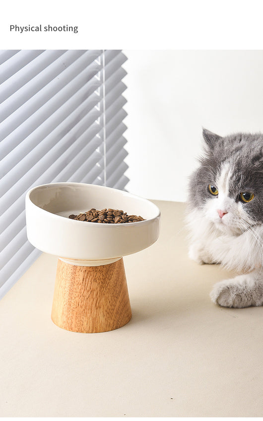 Comedero Elevado para Gatos y Perros Pequeños - Plato Cerámico Antideslizante - Image 16