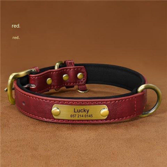Collar para Perro Personalizado con Grabado Anti-pérdida