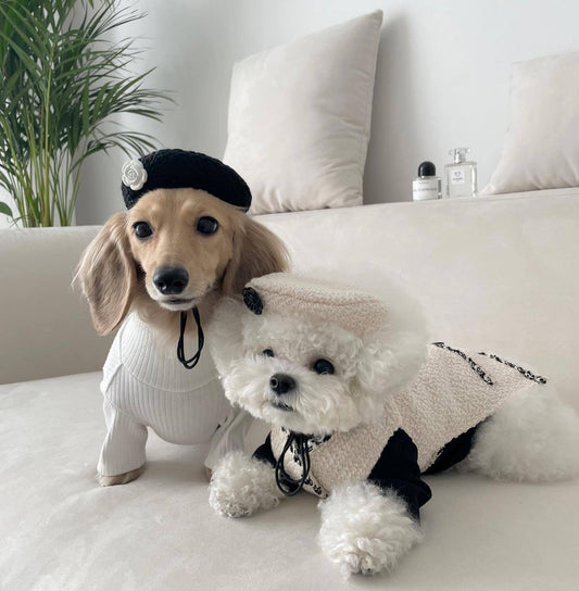 Gorro Tejido para Mascotas - Perros y Gatos - Image 2