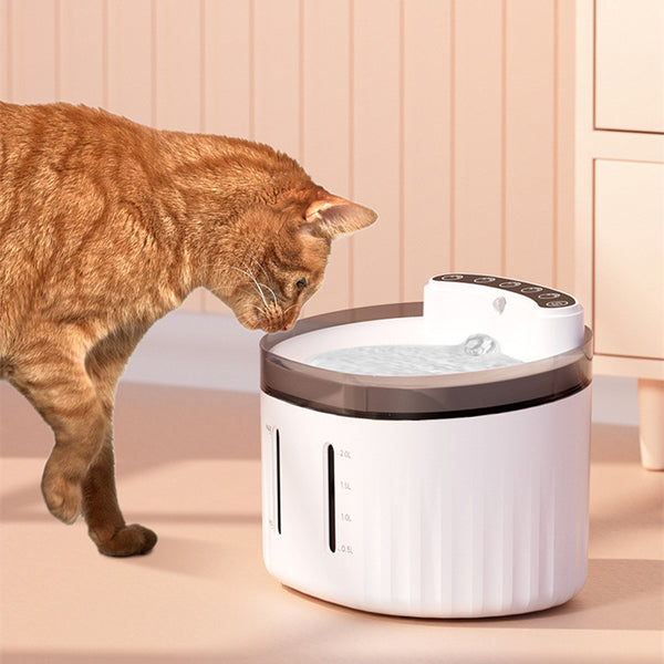 Dispensador de Agua Automático con Circulación Continua para Mascotas